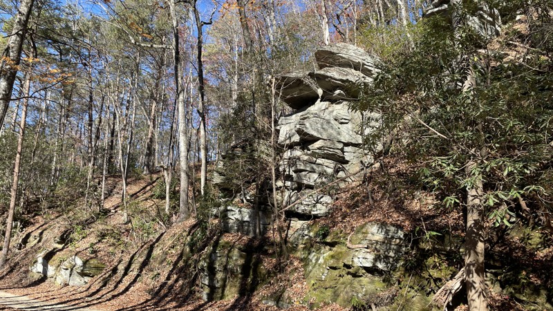 South Carolina: Canebrake Road Hero Photo