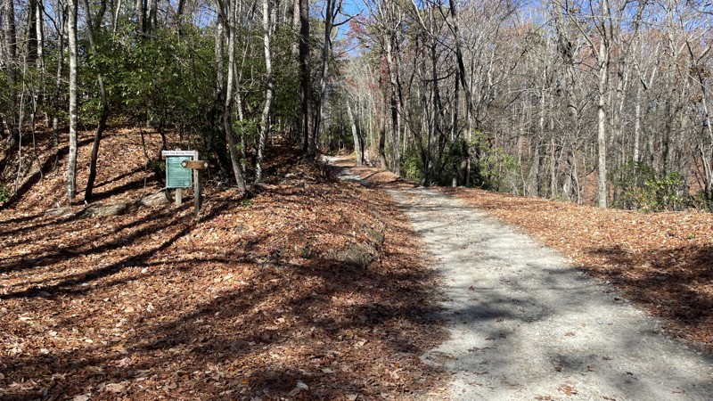 Canebrake Road Trail Review Photo
