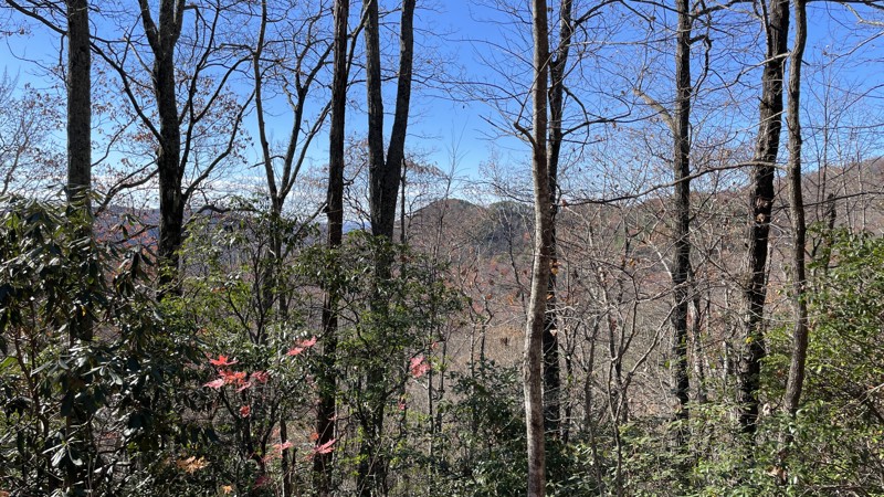 Canebrake Road Trail Review Photo