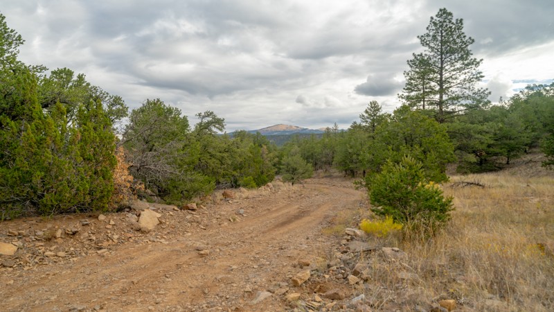 Horace Mesa Trail Review Photo