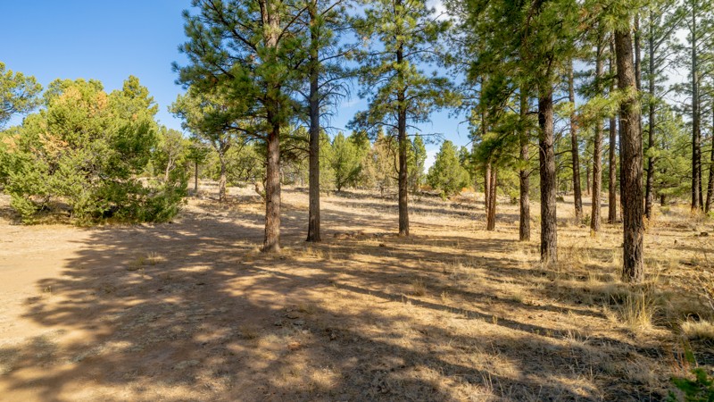 La Jara Mesa Trail Review Photo