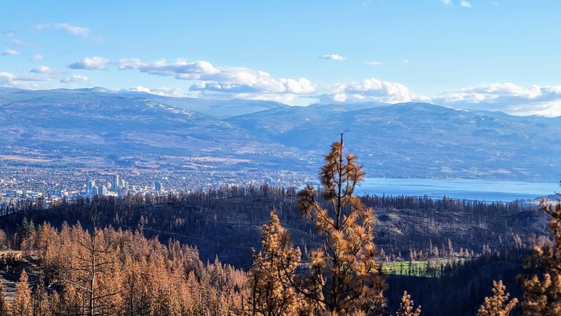 Bear Lake Main Road Trail Review Photo