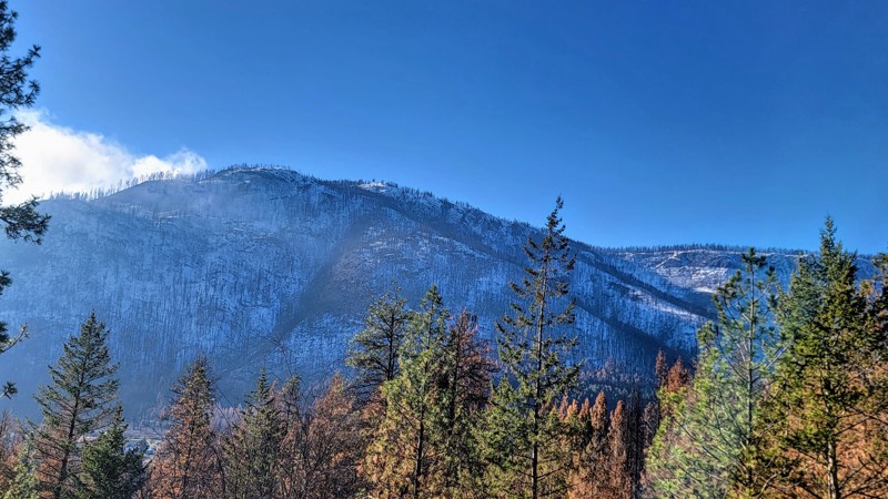 Bear Lake Main Road Trail Review Photo