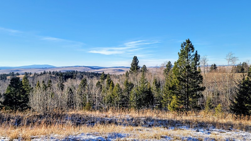 Pennask Lake Forest Service Road Trail Review Photo
