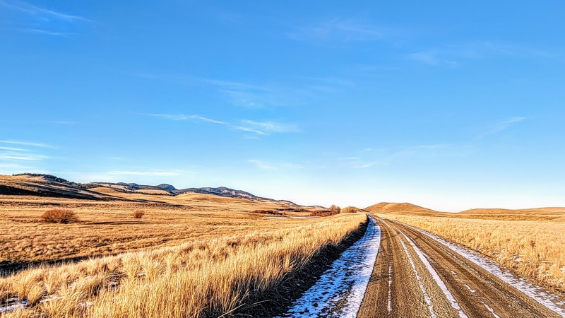 Douglas Lake Road Trail Review Photo