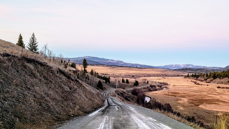 Douglas Lake Road Trail Review Photo
