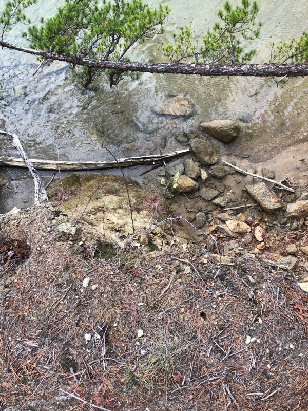 Bootleg Road Trail Review Photo