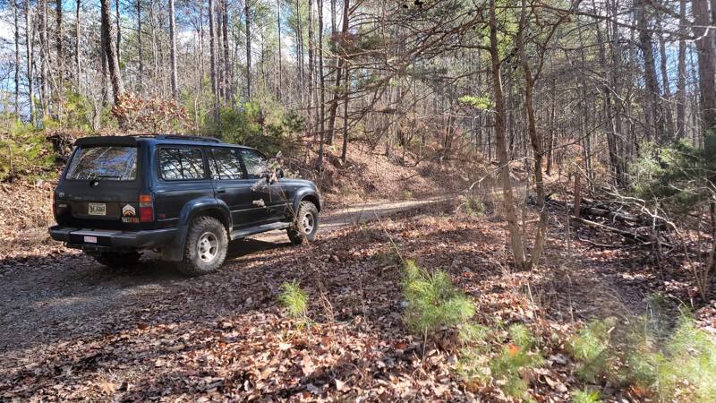 Blue Springs Branch Trail Review Photo