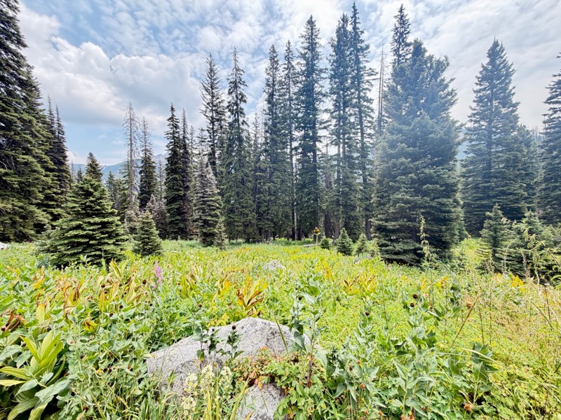 Boulder Creek Trail Review Photo