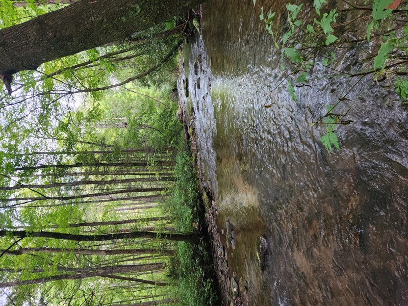 Chattahoochee River Road Trail Review Photo