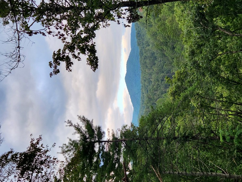 Chattahoochee River Road Trail Review Photo
