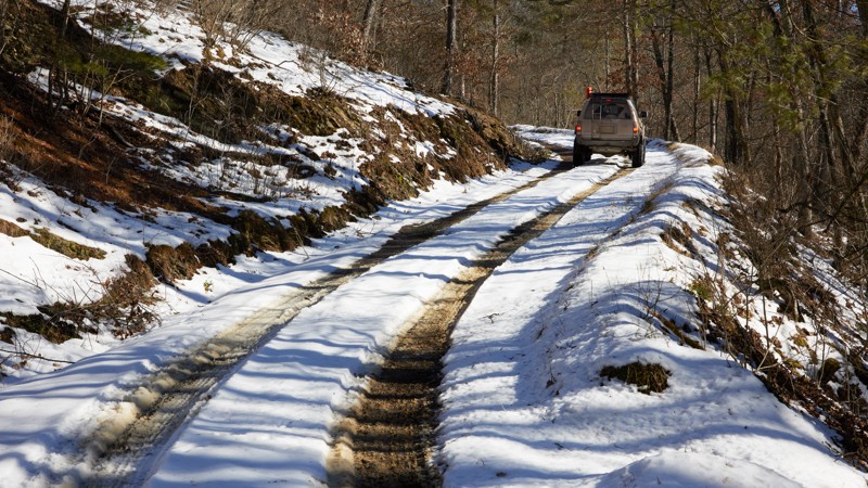 Frank Davis Road Trail Review Photo