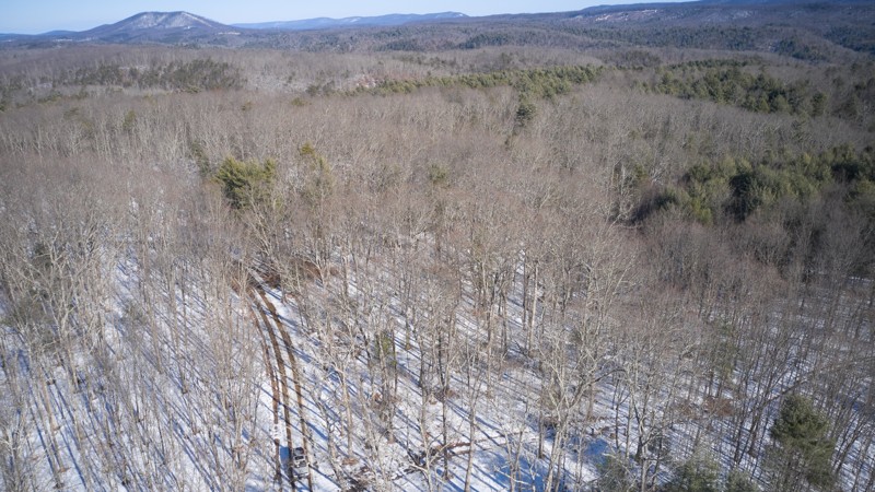 Big Ridge Road Trail Review Photo