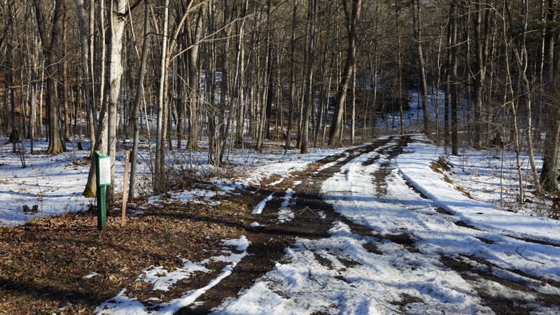 Fifteen Mile Creek Trail Review Photo