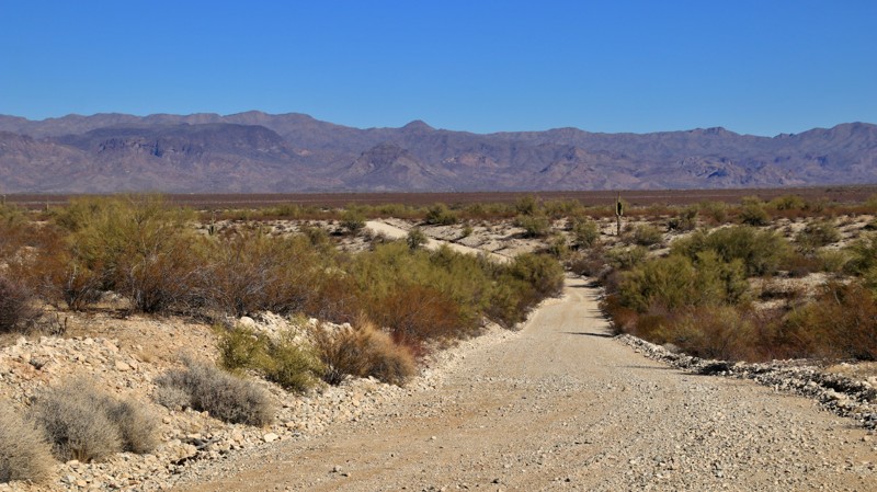 Arizona: Old Alamo Road Hero Photo