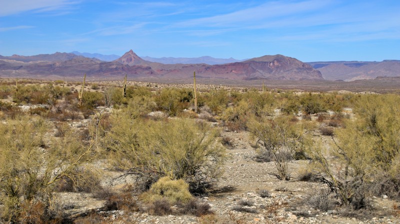 Arizona: Wayside Road Hero Photo
