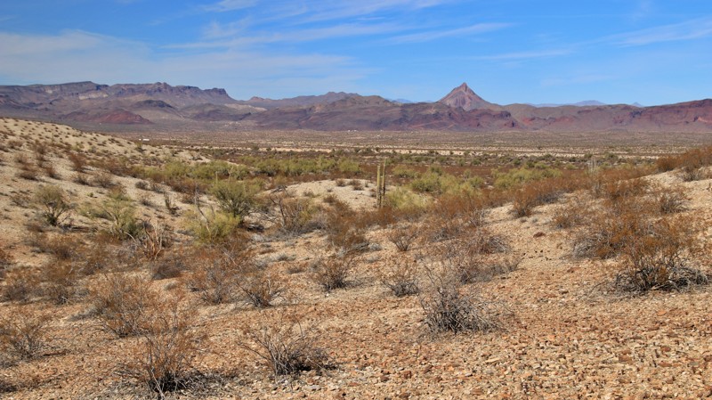Arizona: Park Road Hero Photo