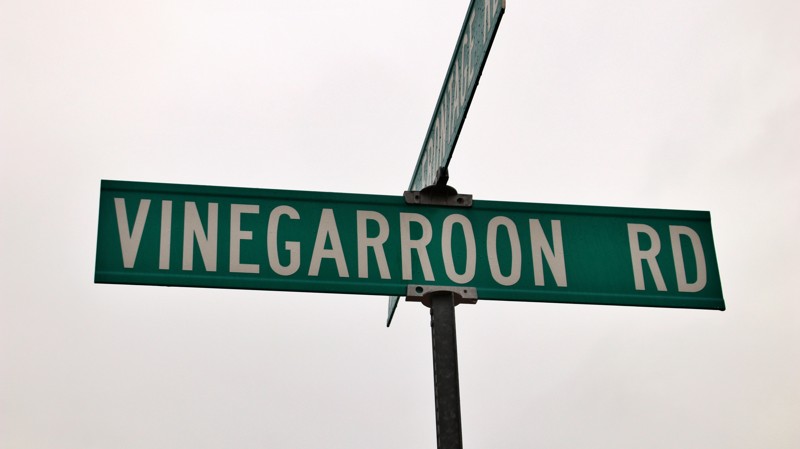 Vinegarroon Road Trail Review Photo