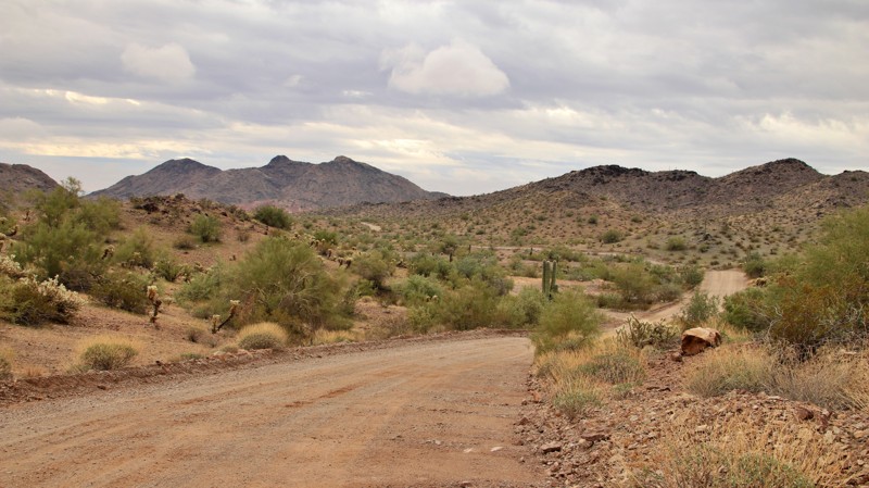 Arizona: Harquahala Road Hero Photo