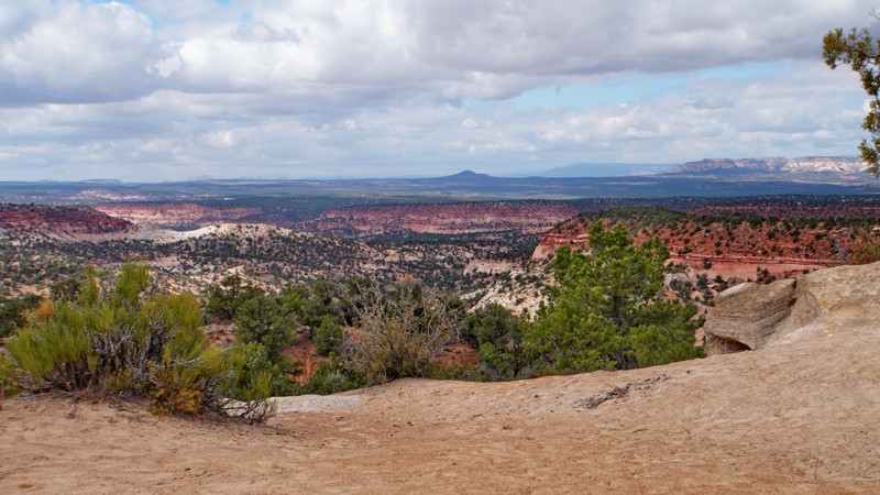 Utah: Mosdell Trail Hero Photo