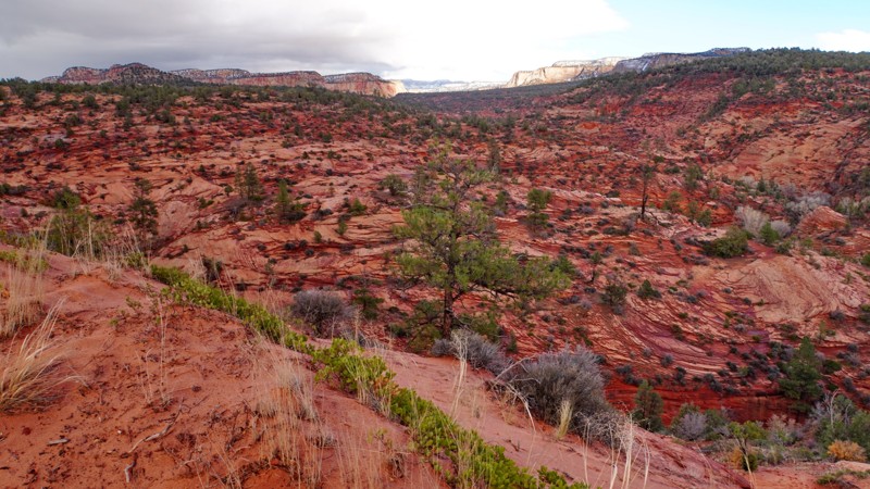 Utah: Poverty Gulch Virgin River Overlook Hero Photo