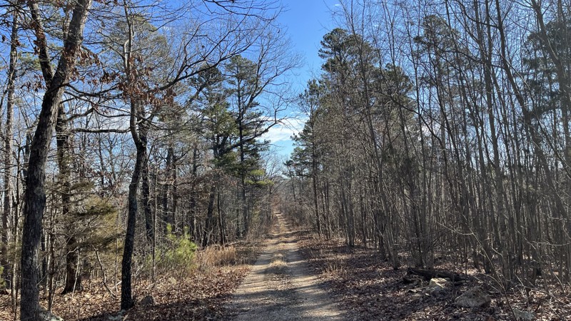 Logan Mountain Trail Review Photo