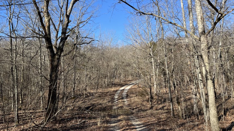 Logan Mountain Trail Review Photo