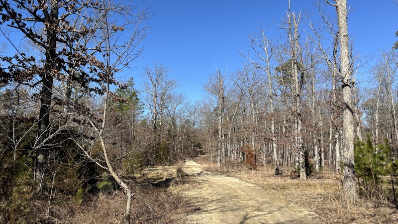 Crane Mountain Ridge Trail Review Photo