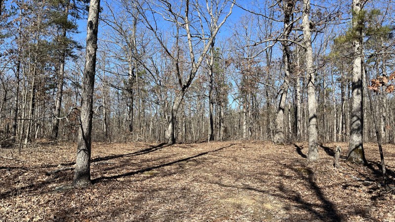 Crane Mountain Ridge Trail Review Photo