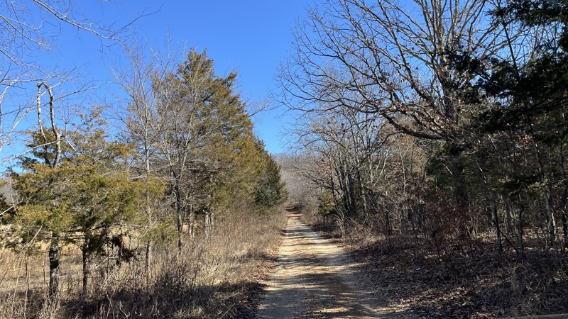 Creek 131C Trail Review Photo