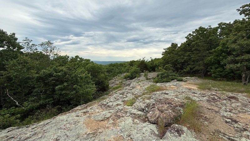 Creek 131C Trail Review Photo
