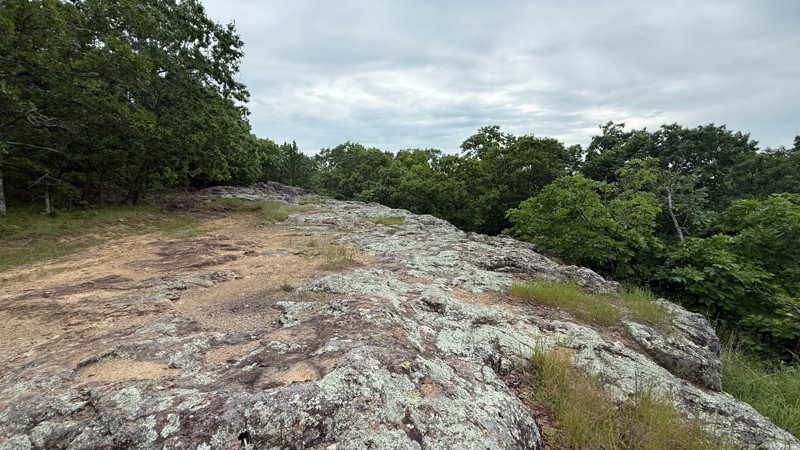 Creek 131C Trail Review Photo