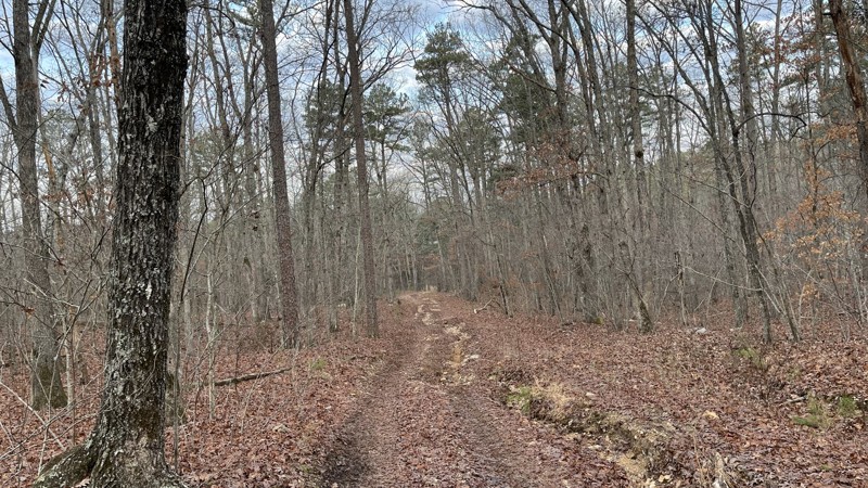 Reader Hollow Trail Review Photo