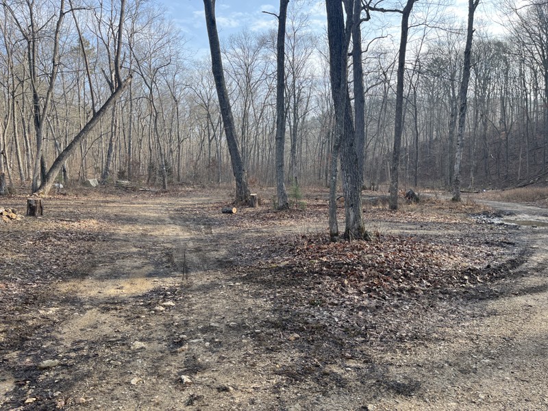 Shremp Road Trail Review Photo