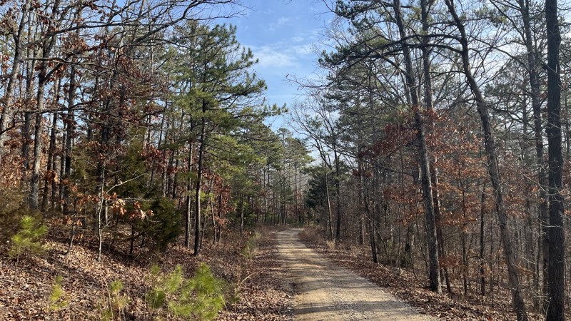 Shremp Road Trail Review Photo