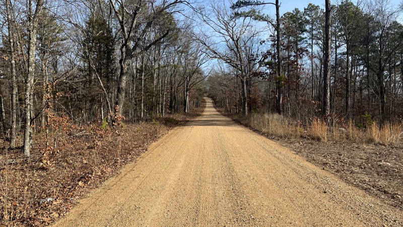 Bidwell Creek Road Trail Review Photo