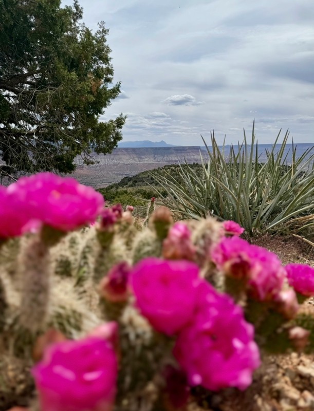 Black Ridge Radio Towers Trail Review Photo