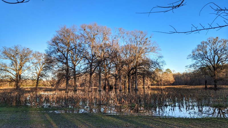 Henry Grammer Highway (HGH) Trail Review Photo