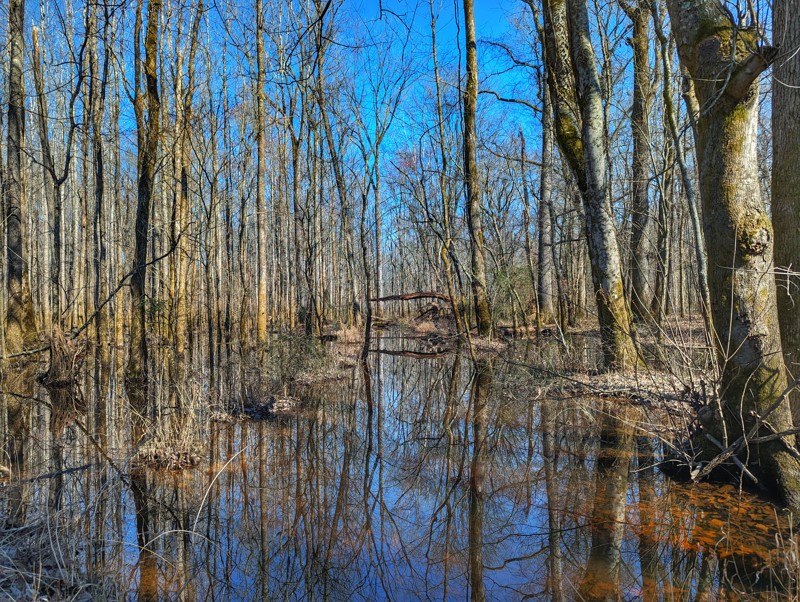 Madden Branch Road Trail Review Photo