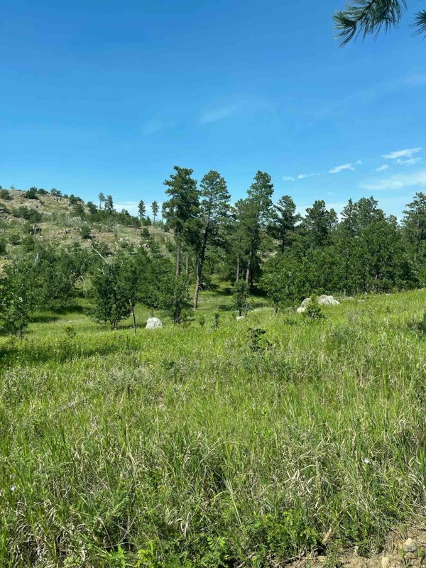 Turkey Ridge Trail Review Photo