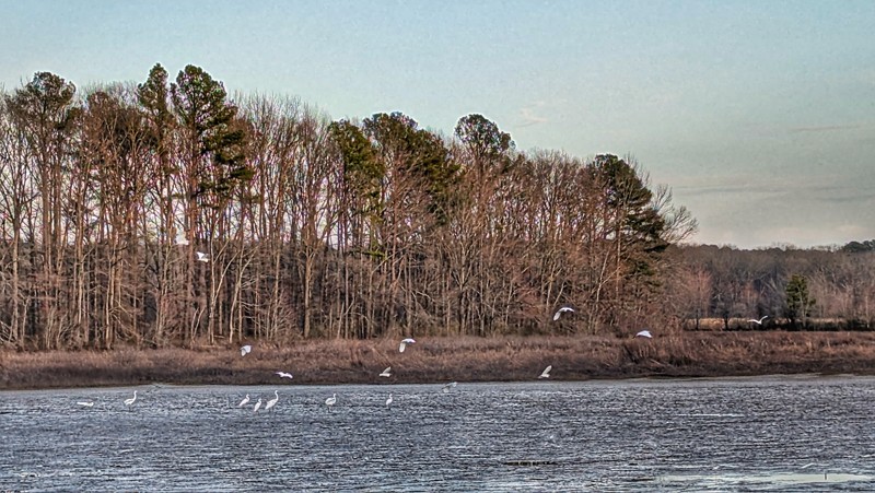Penny Bottoms Road Trail Review Photo