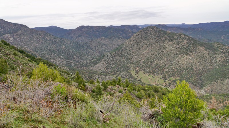 Colorado: Crampton Mountain Overlook Hero Photo