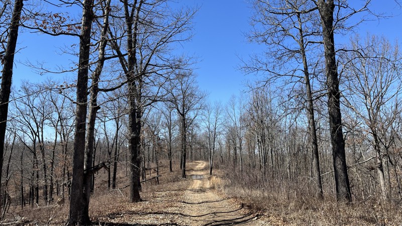 912 Trail Review Photo