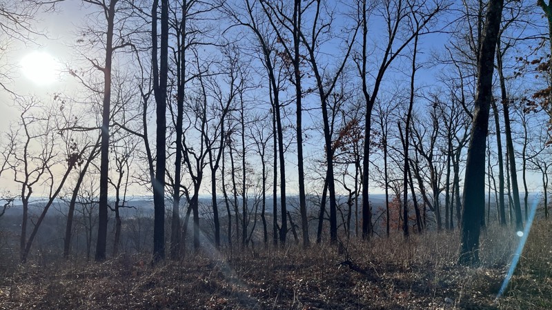 Skyline Drive Trail Review Photo