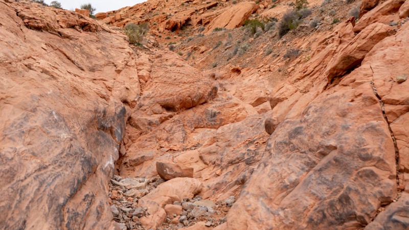 Rock Bottom Trail Review Photo