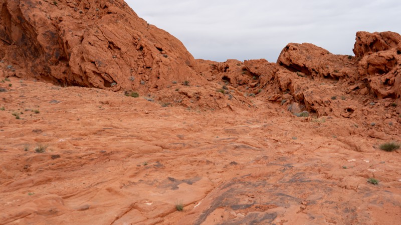 Nevada: Shredder Trail Hero Photo