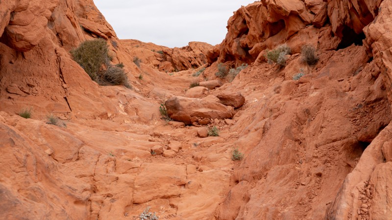 Shredder Trail Trail Review Photo