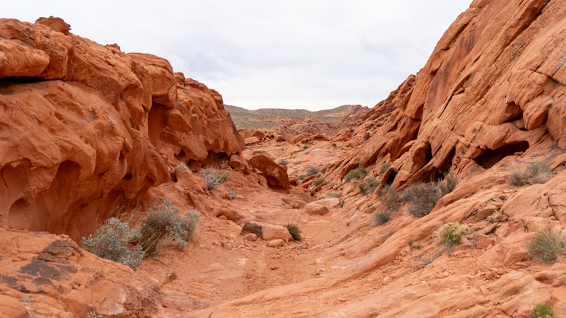 Shredder Trail Trail Review Photo