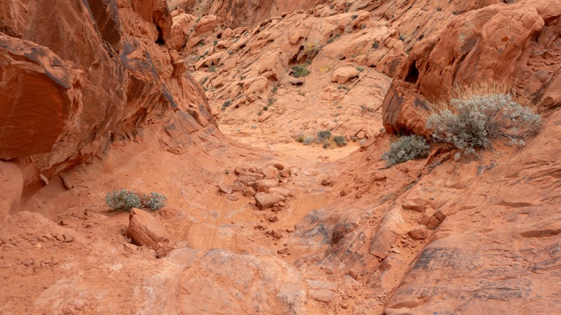 Bronco Falls Trail Review Photo