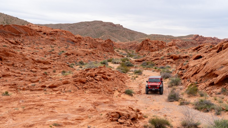 Nevada: Logandale Loop to Rapotor Eater Hill Hero Photo